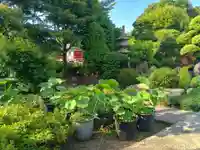 高源院(東京都)