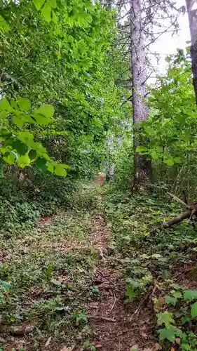上南部神社(北海道)