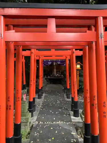 澤蔵司稲荷（慈眼院）(東京都)