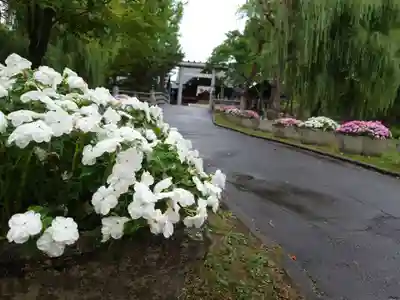 上川神社頓宮のその他建物