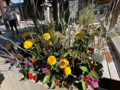 善通寺(香川県)