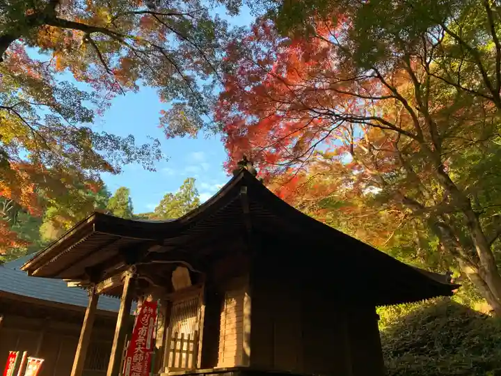 普門寺(切り絵御朱印発祥の寺)の自然