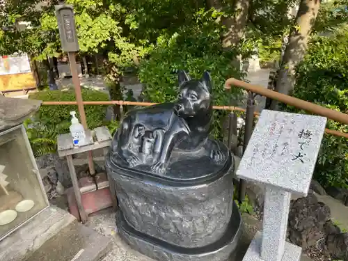 鎮守氷川神社の狛犬