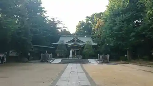 春日部八幡神社の本殿