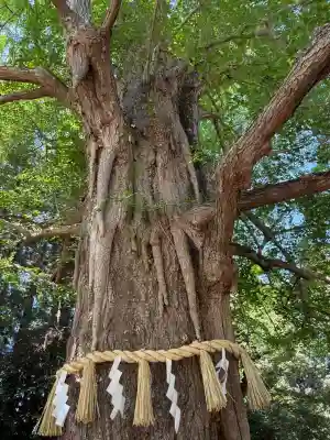 水戸八幡宮(茨城県)