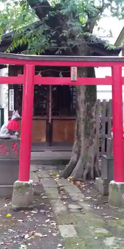 茶ノ木稲荷社の鳥居