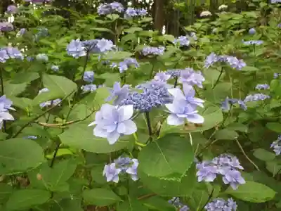 常盤神社(山口県)