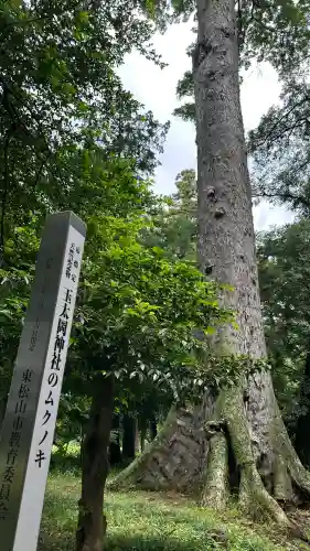 玉太岡神社(埼玉県)