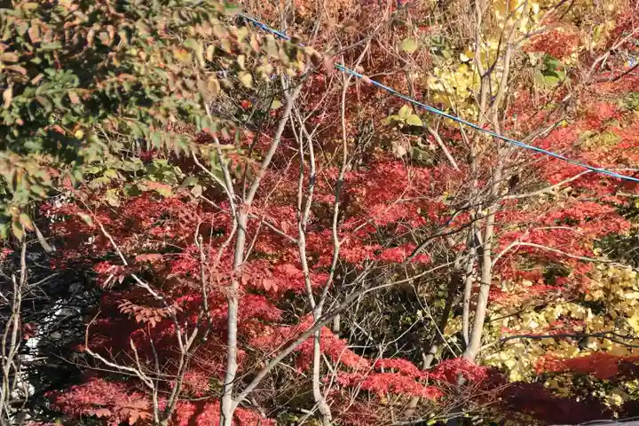 熊野福藏神社の自然