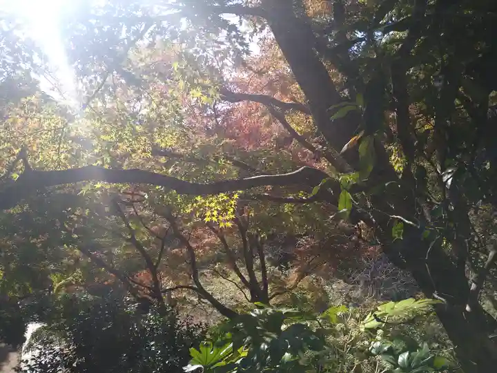 建長寺 半僧坊(神奈川県)