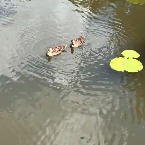 上杉神社(山形県)