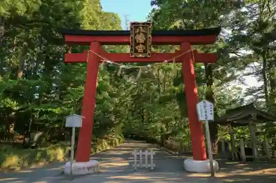 大崎八幡宮の鳥居
