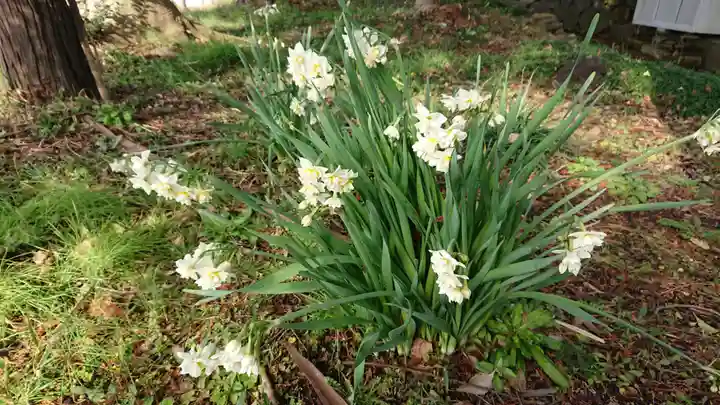 飯綱神社の自然