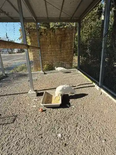 進雄神社(群馬県)