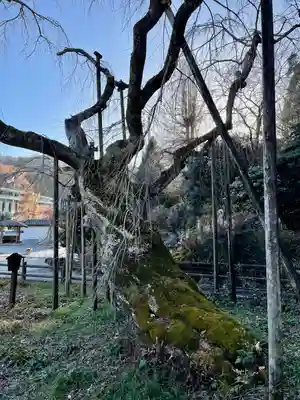 太山寺(栃木県)