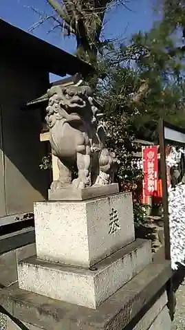 小岩神社の狛犬