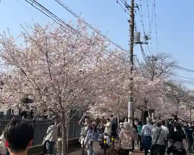 弘明寺の{uncategorized: "未分類", other: "その他", undefined: "問題あり", building: "その他建物", grave: "お墓", sacred_gate: "鳥居", guardian: "狛犬", statue: "像", buddha: "仏像", history: "歴史", nature: "自然", garden: "庭園", animal: "動物", pagoda: "塔", temizu: "手水舎", mountain_gate: "山門・神門", sanctuary: "本殿・本堂", subordinate: "末社・摂社", art: "芸術", scenery: "景色", jizo: "地蔵", ema: "絵馬", goshuin: "御朱印", omikuji: "おみくじ", items: "授与品その他", amulet: "お守り", goshuincho: "御朱印帳", eats: "食事", festival: "お祭り", votive_dance: "神楽", shichigosan: "七五三参", wedding: "結婚式", experience: "体験その他", initially: "初詣", around: "周辺", anti_infection: "感染症対策"}