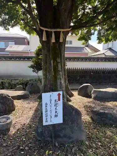 観音院(愛知県)