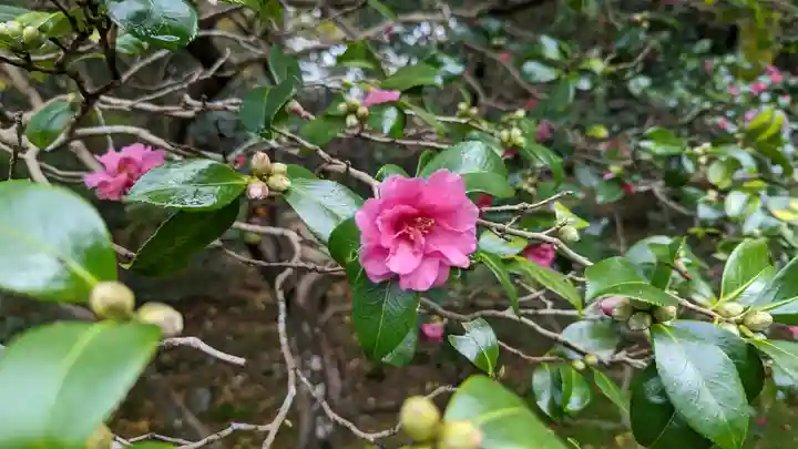 霊鑑寺門跡(京都府)