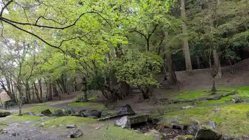 醍醐寺(京都府)