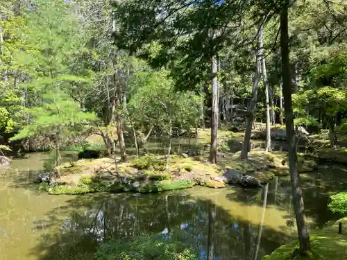 西芳寺(京都府)