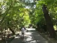 宇治上神社の景色