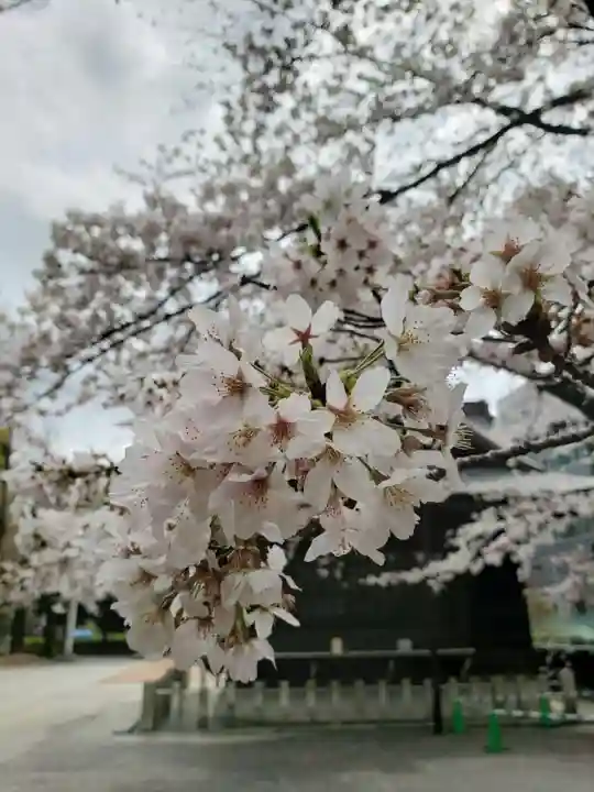 熊野神社(東京都)