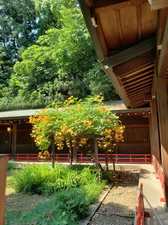 代々木八幡宮の庭園