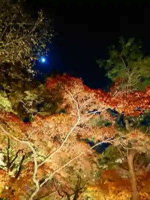 東福禅寺(東福寺)(京都府)