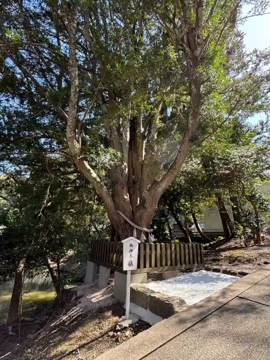安房神社の{uncategorized: "未分類", other: "その他", undefined: "問題あり", building: "その他建物", grave: "お墓", sacred_gate: "鳥居", guardian: "狛犬", statue: "像", buddha: "仏像", history: "歴史", nature: "自然", garden: "庭園", animal: "動物", pagoda: "塔", temizu: "手水舎", mountain_gate: "山門・神門", sanctuary: "本殿・本堂", subordinate: "末社・摂社", art: "芸術", scenery: "景色", jizo: "地蔵", ema: "絵馬", goshuin: "御朱印", omikuji: "おみくじ", items: "授与品その他", amulet: "お守り", goshuincho: "御朱印帳", eats: "食事", festival: "お祭り", votive_dance: "神楽", shichigosan: "七五三参", wedding: "結婚式", experience: "体験その他", initially: "初詣", around: "周辺", anti_infection: "感染症対策"}