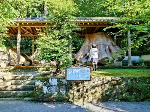 宇奈岐日女神社の建物その他