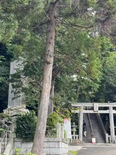 川勾神社(神奈川県)