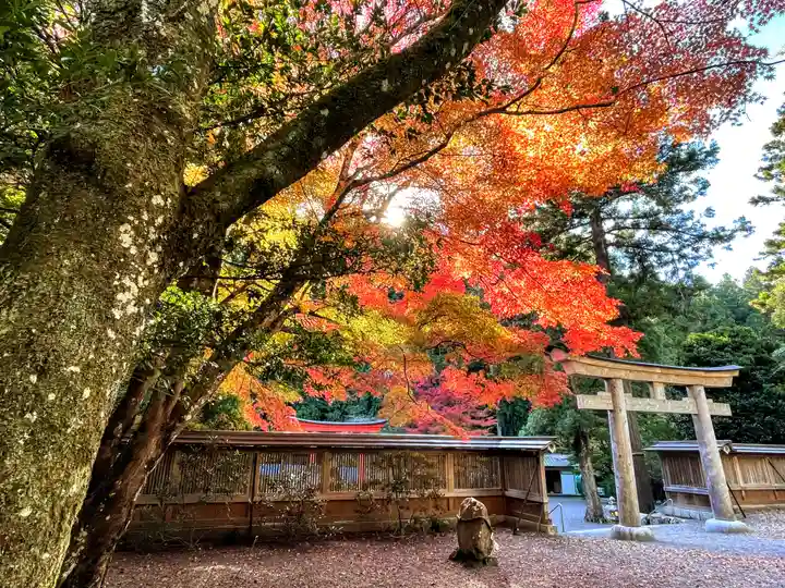 丹生川上神社(下社)(奈良県)