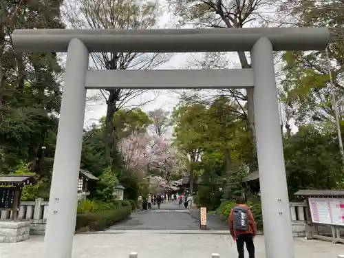 阿佐ヶ谷神明宮の鳥居
