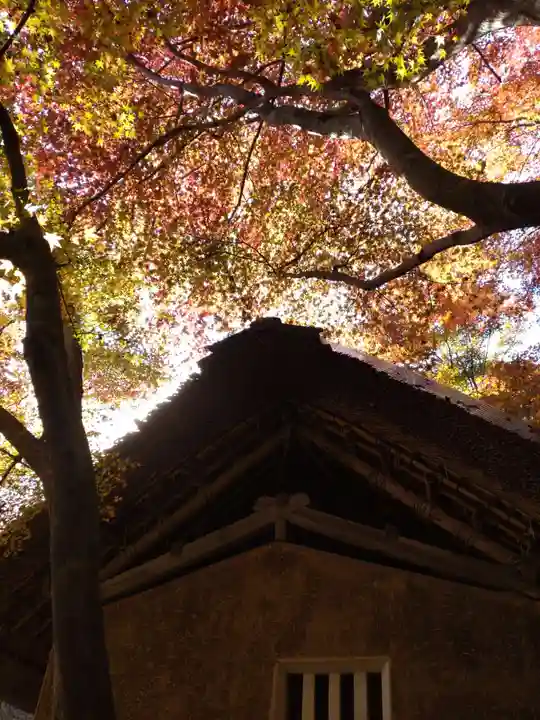 教林坊のその他建物