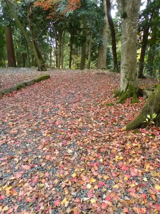 金剛輪寺の自然