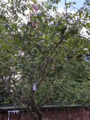 志波彦神社・鹽竈神社(宮城県)