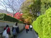 野宮神社(京都府)