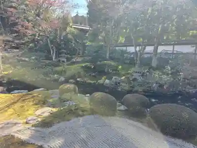 御寺 泉涌寺(京都府)