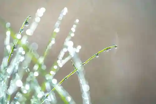 金蛇水神社の自然