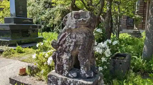 北野神社の狛犬