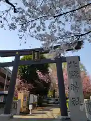 新井天神北野神社の鳥居