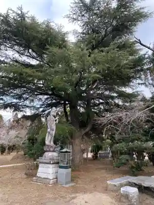 玄徳寺(千葉県)