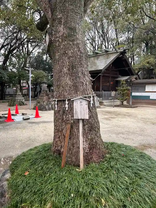 神明社(桜神明社)(愛知県)