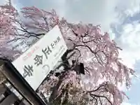 正命寺(長野県)