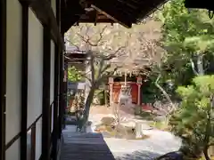 六道珍皇寺(京都府)