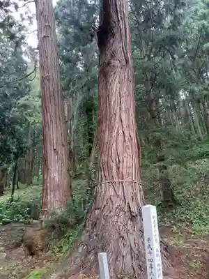 鳥越八幡神社(山形県)