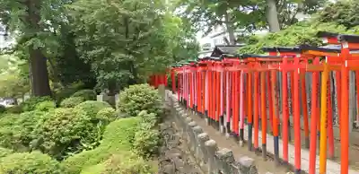 乙女稲荷神社の鳥居