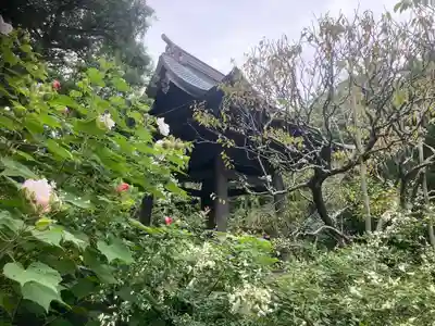 宝戒寺(神奈川県)