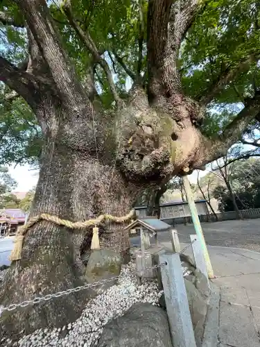 大麻比古神社の建物その他